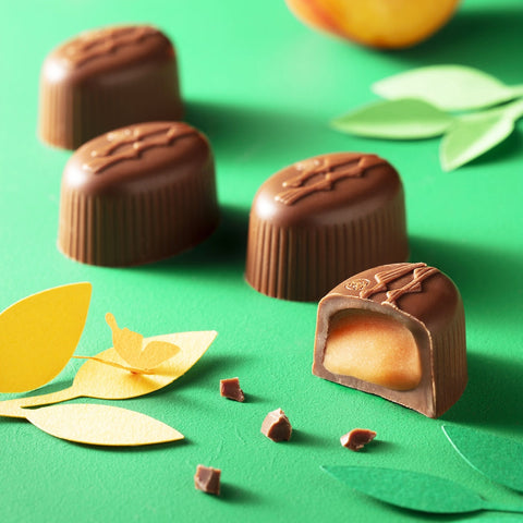 Vasaros kolekcija „Irrésistible”