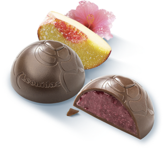 Frozettes | Šaldytas šokoladas, 160 g